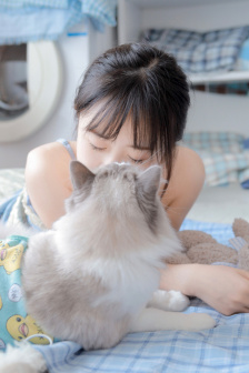 人与动物PPT免费模板大全